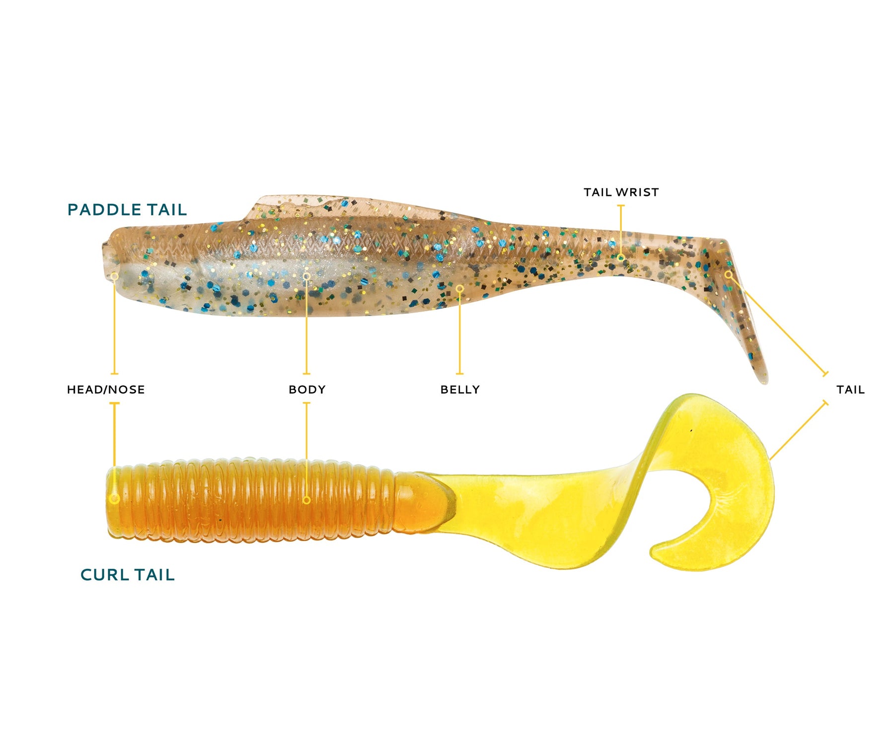 3. Soft Plastic Anatomy