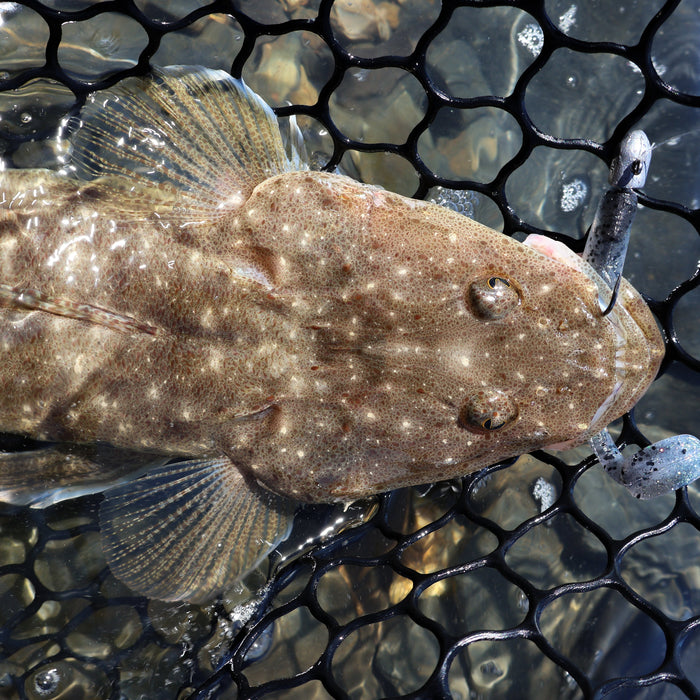 Guide to Land-Based Flathead Fishing with Lures