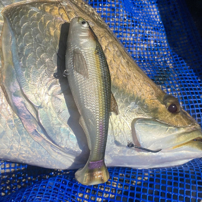 How to Rig the ZMan Shadtron LT Swimbait