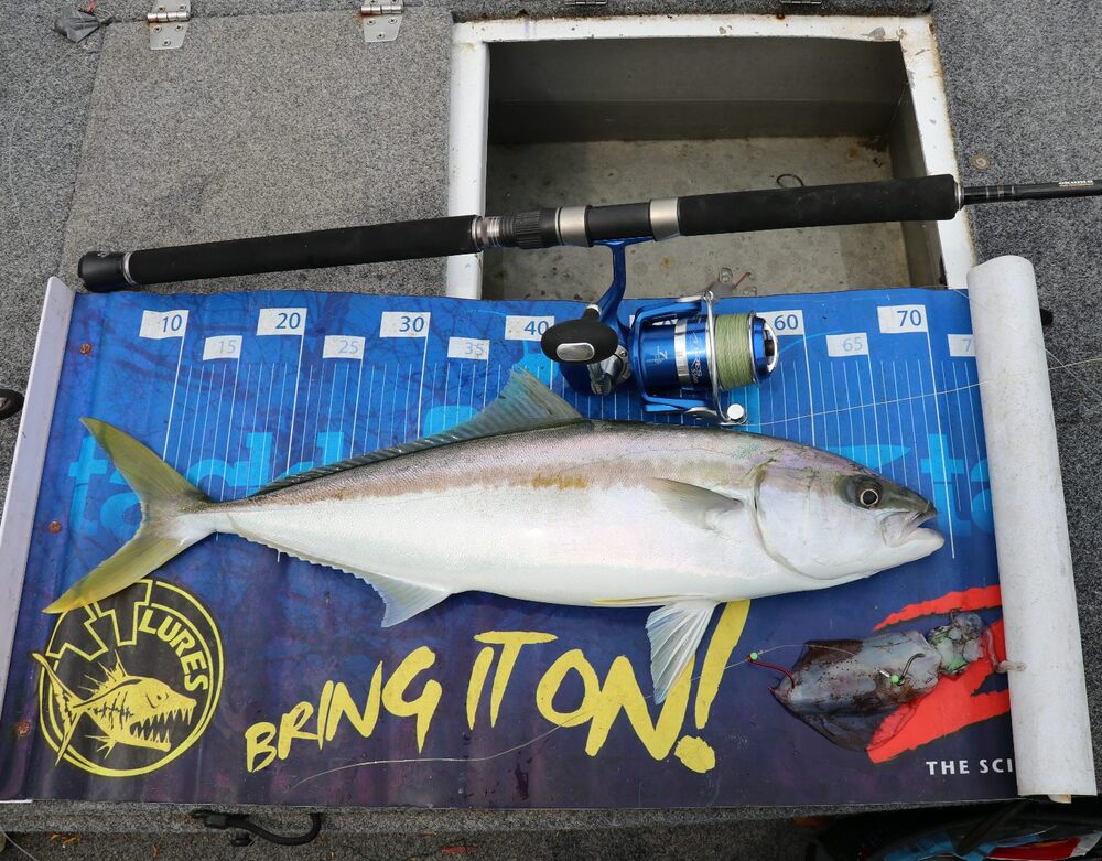 Live or Dead Squid Rig