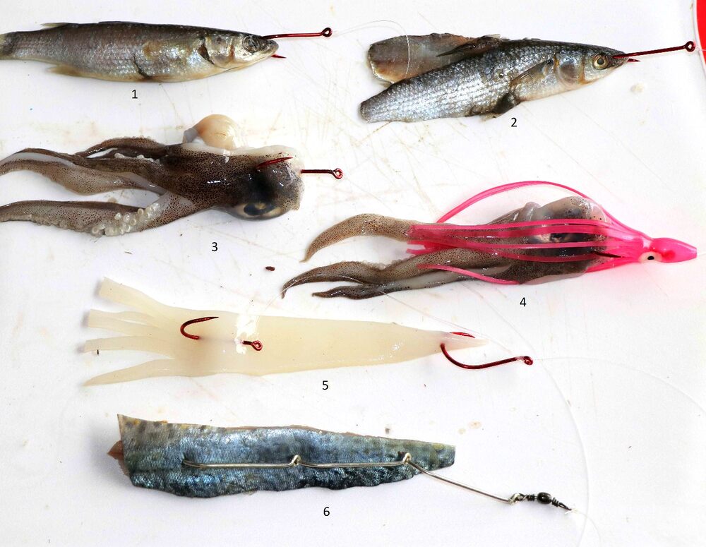 Paresnoster Rig Running Paternoster Rig — Tackle Tactics