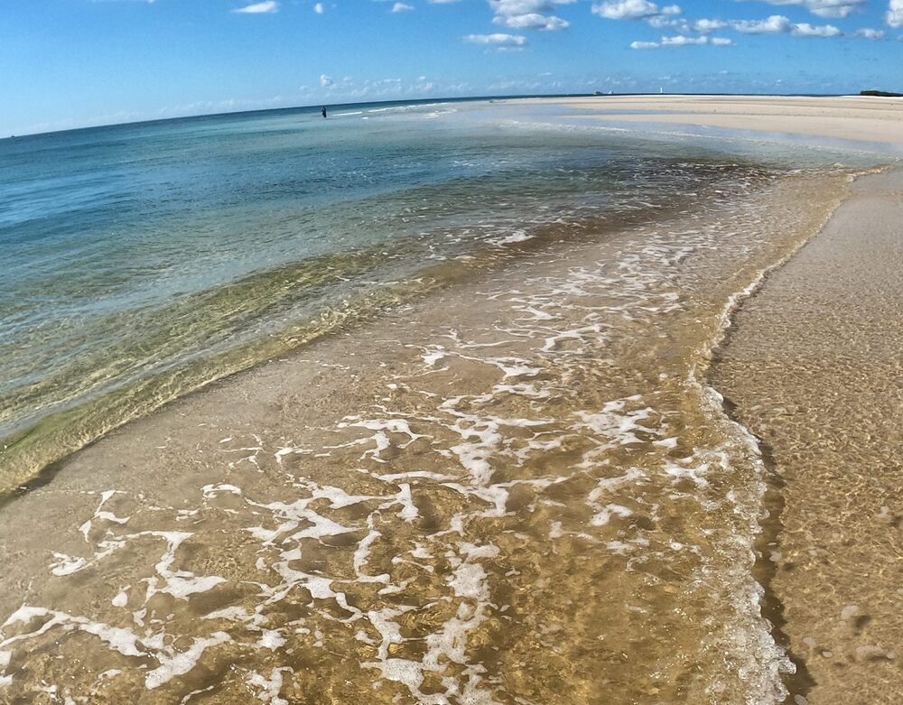 Fraser Island - Sensational on Soft Plastics