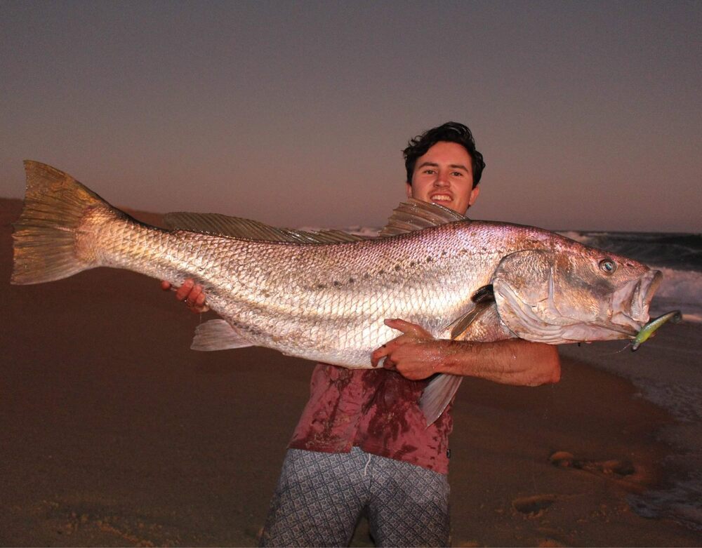 Monster Beach Mulloway on Soft Plastics