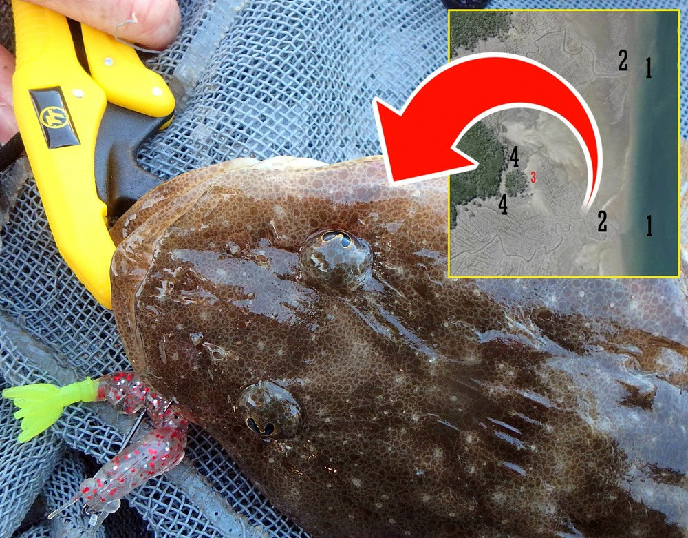 Simple Flathead Techniques - Hervey Bay & Sandy Straits