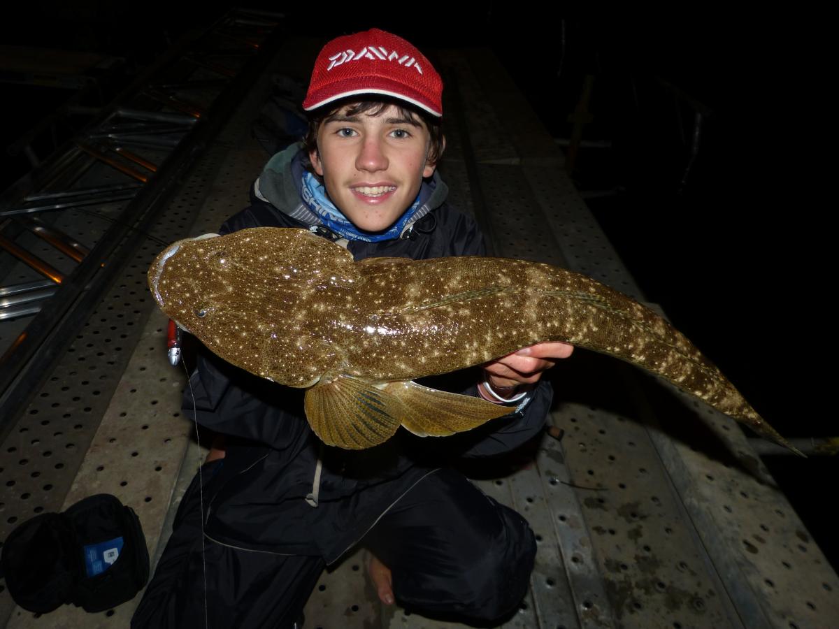 Nocturnal Flathead