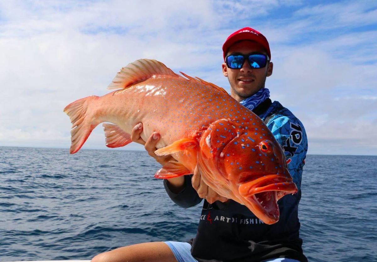 Jighead Selection Tips