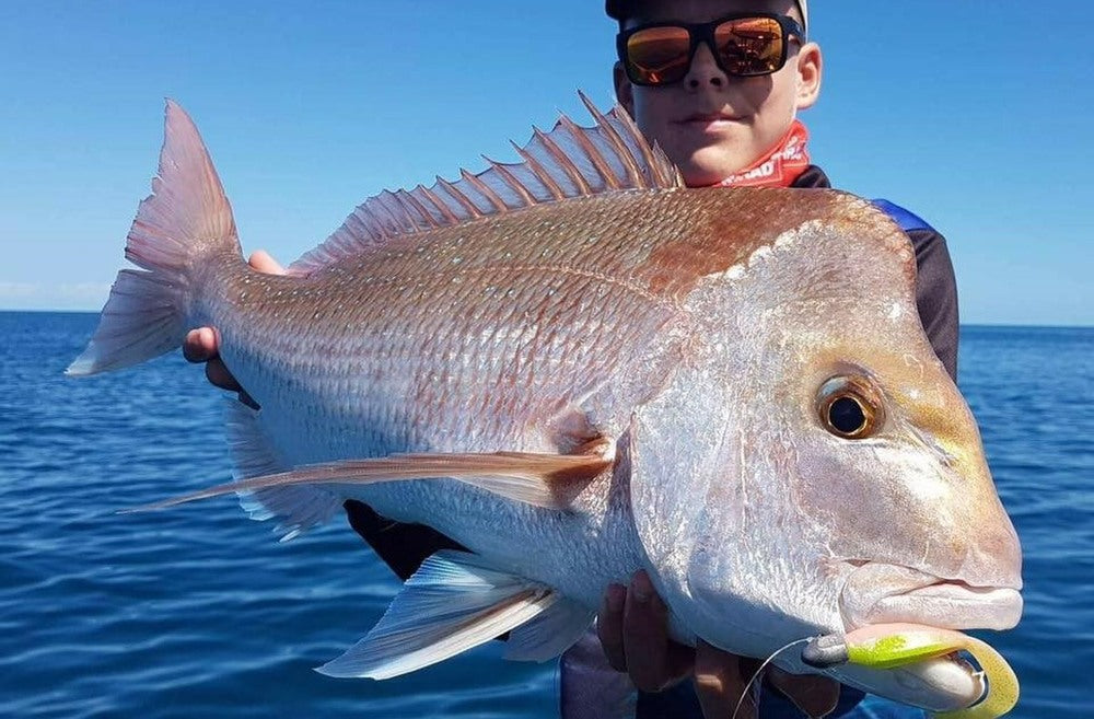 Hervey Bay Snapper