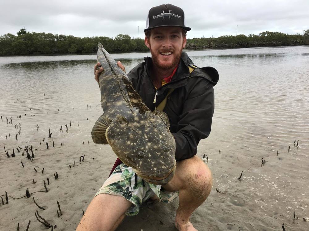 Ryan Dixon's Flathead Basics