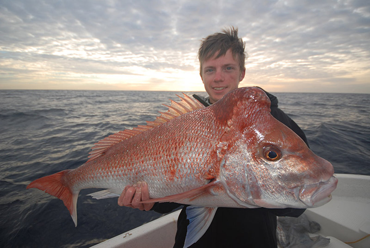 Deep Water Snapper on Soft Plastics