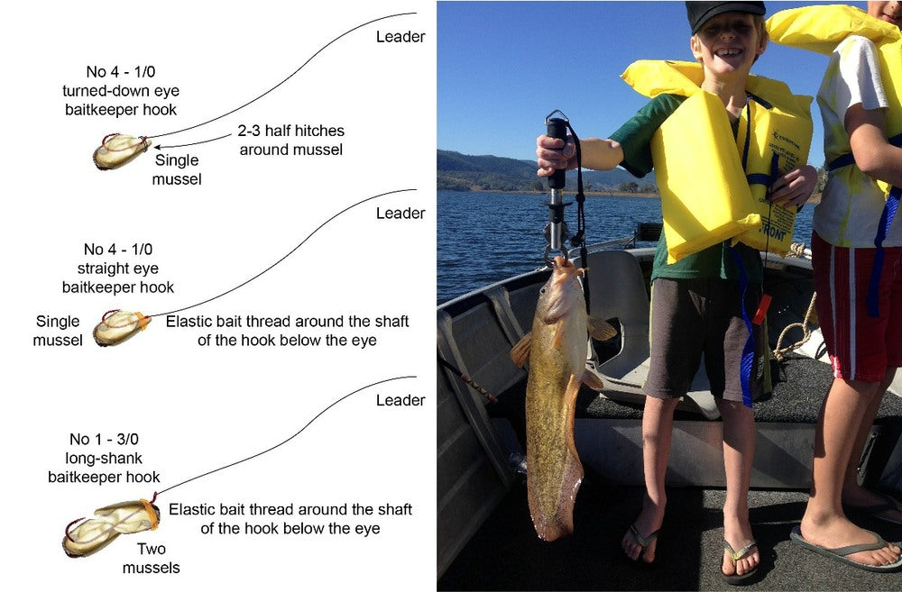 Rigging Freshwater Mussels — Tackle Tactics