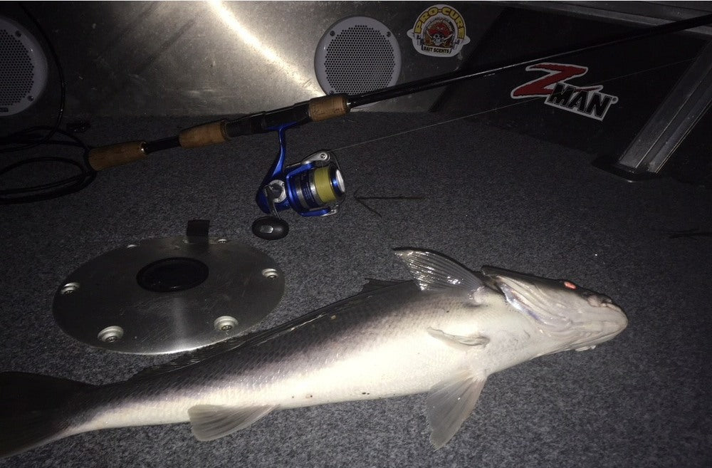 Night Fishing with Soft Plastics