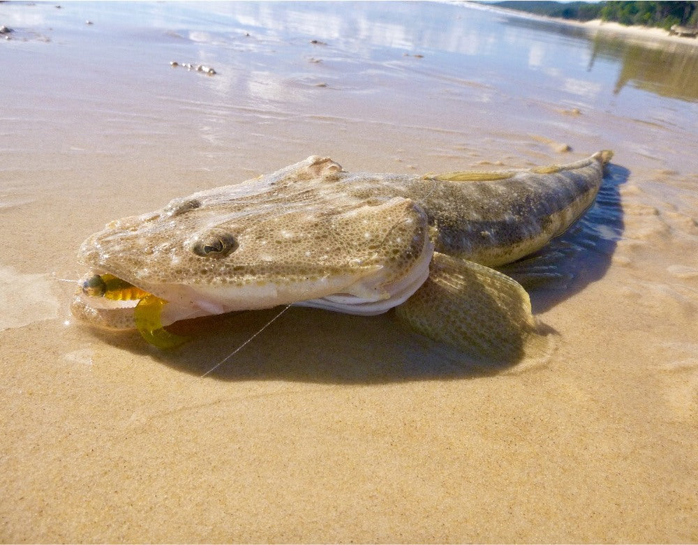 Moreton Island - Overlooked Opportunities