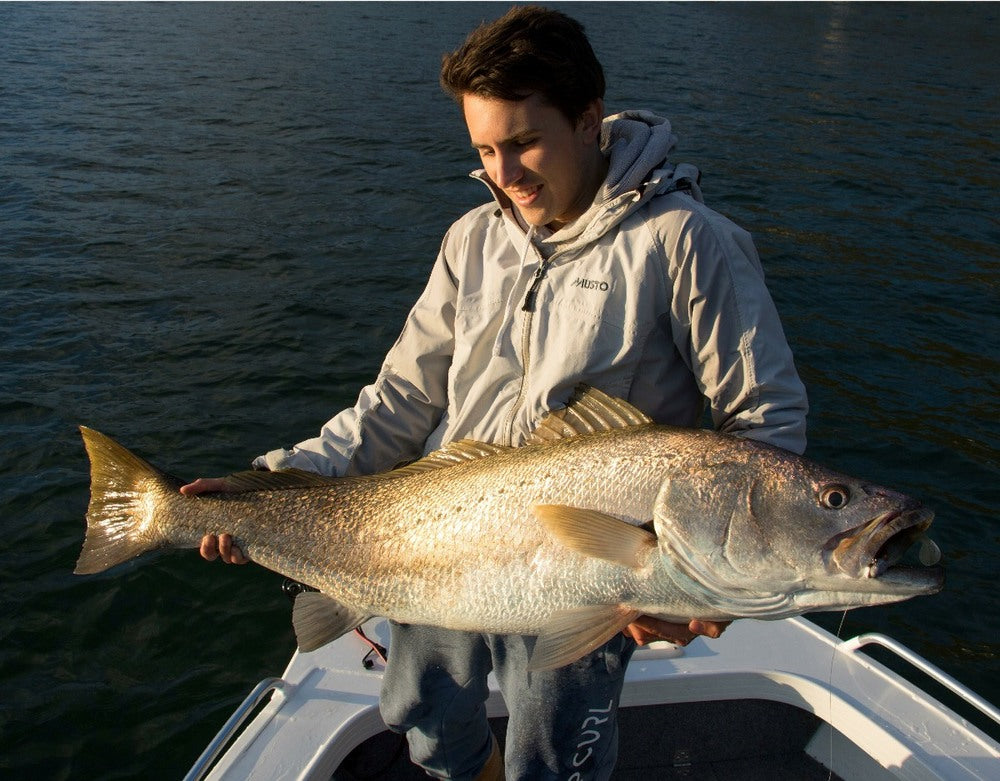 Pick Your Paddle Tail - Mulloway