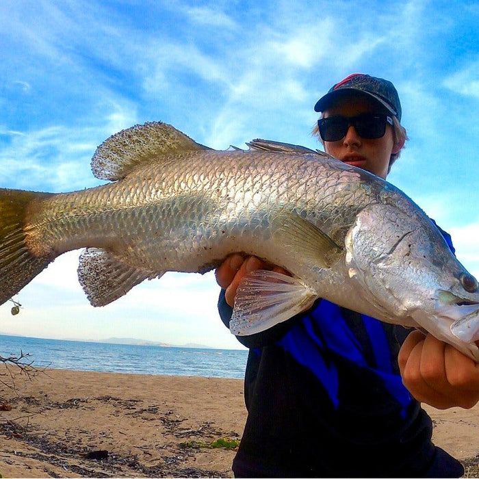 Barramundi off the Beach