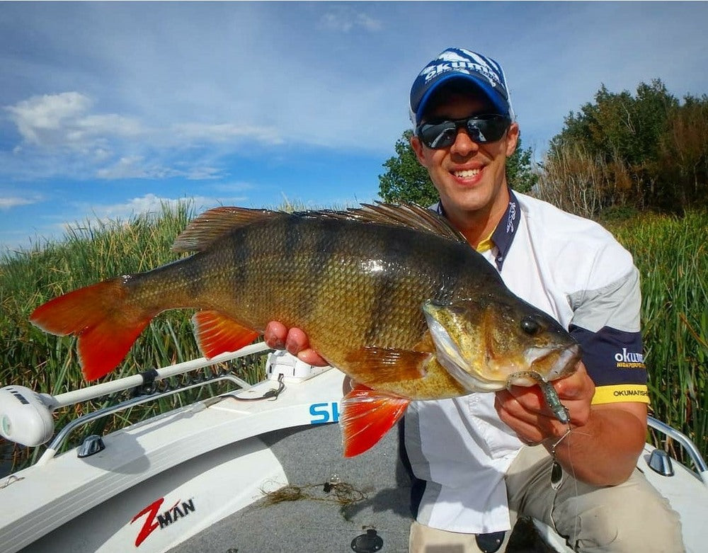 Redfin Perch Fishing