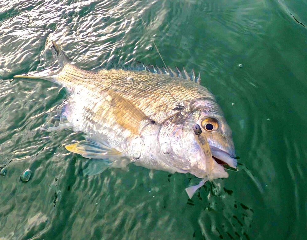 5 Tips for Winter Bream