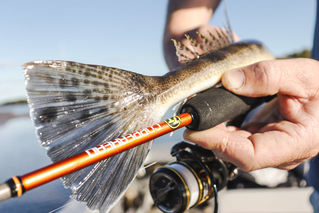 copperhead fishing pole TT COPPER HEAD SPIN ROD — Tackle Tactics