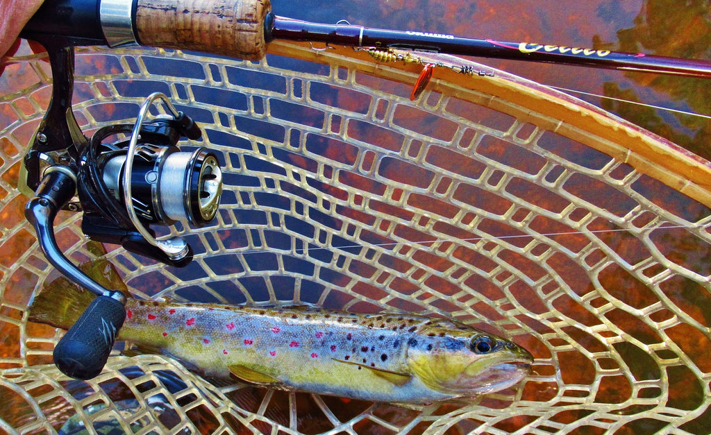 Best Spinning Rod For Trout Fishing Best Trout Fishing Reels