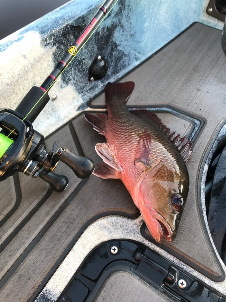 belly fishing reel TT RED BELLY BAITCAST ROD — Tackle Tactics