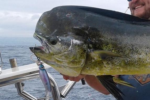 fish inc lures south africa FISH INC. CENTRE — Tackle Tactics