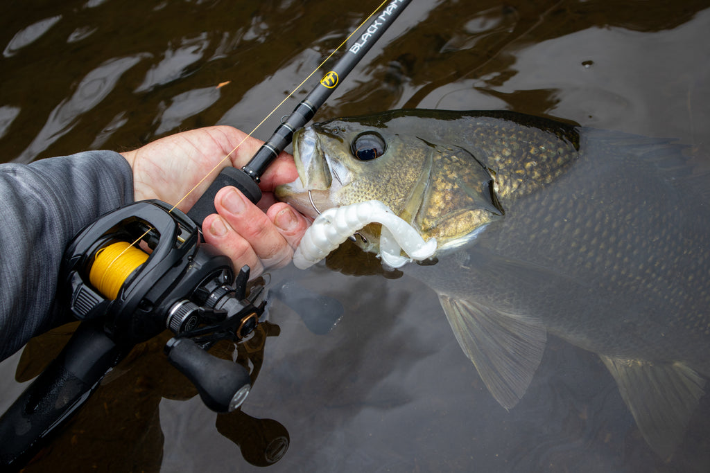 baitcaster worm rod KastKing Spartacus II Twin-Tip and Reel Combo 7'1''/ Fast-Medium Heavy/Left Handed-2pcs and sensitive Abu Garcia Josh Bertrand Pro