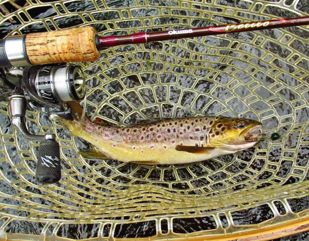 Trout Fishing Best Lightweight Spinning Rod Best Ultralight