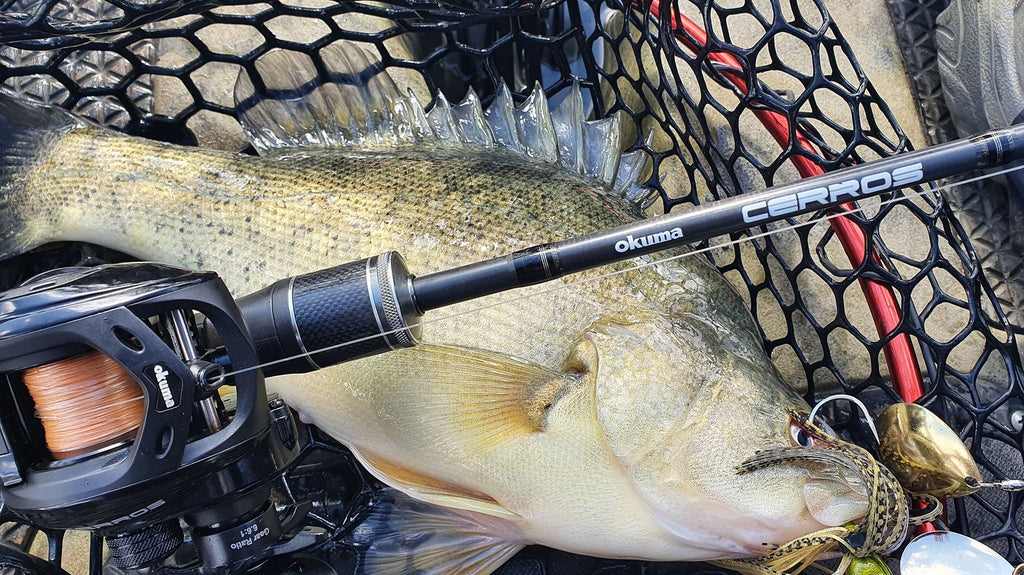 okuma cerros reel Serrano Baitcast Reels The Cerros Bass Rods is built for Bass fishing Cerros Bass Rods CRS-C-731MH