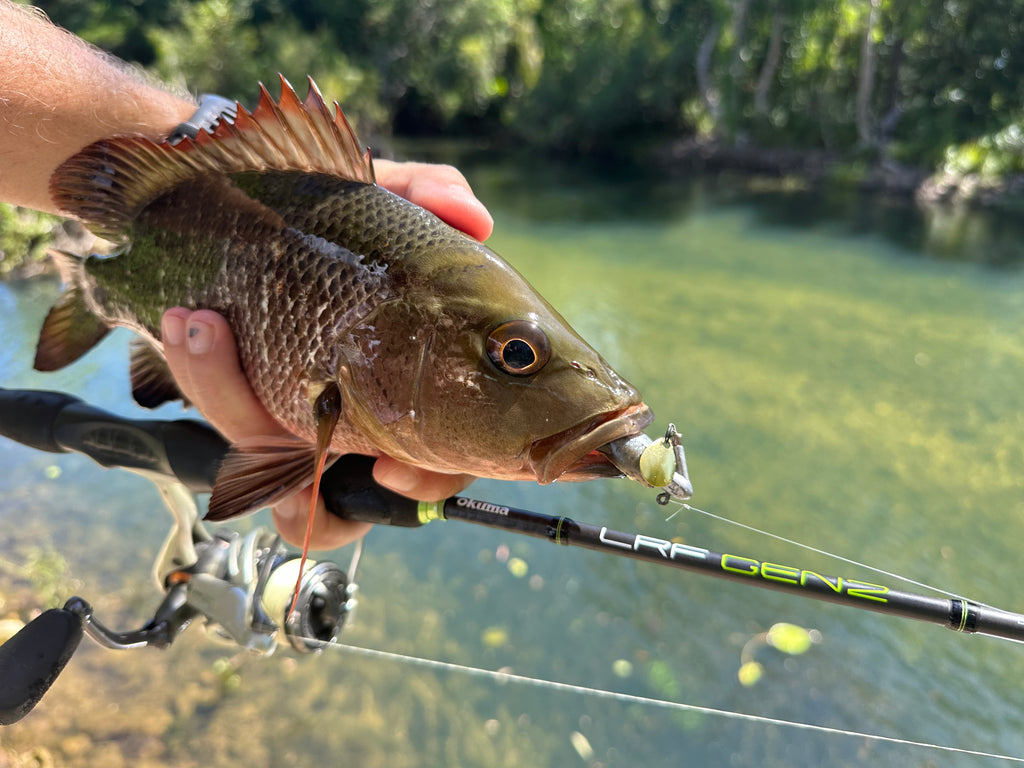OKUMA LRF GEN2 SPIN ROD — Tackle Tactics