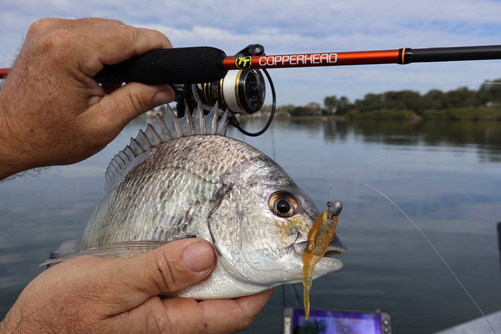 copperhead fishing pole TT COPPER HEAD SPIN ROD — Tackle Tactics